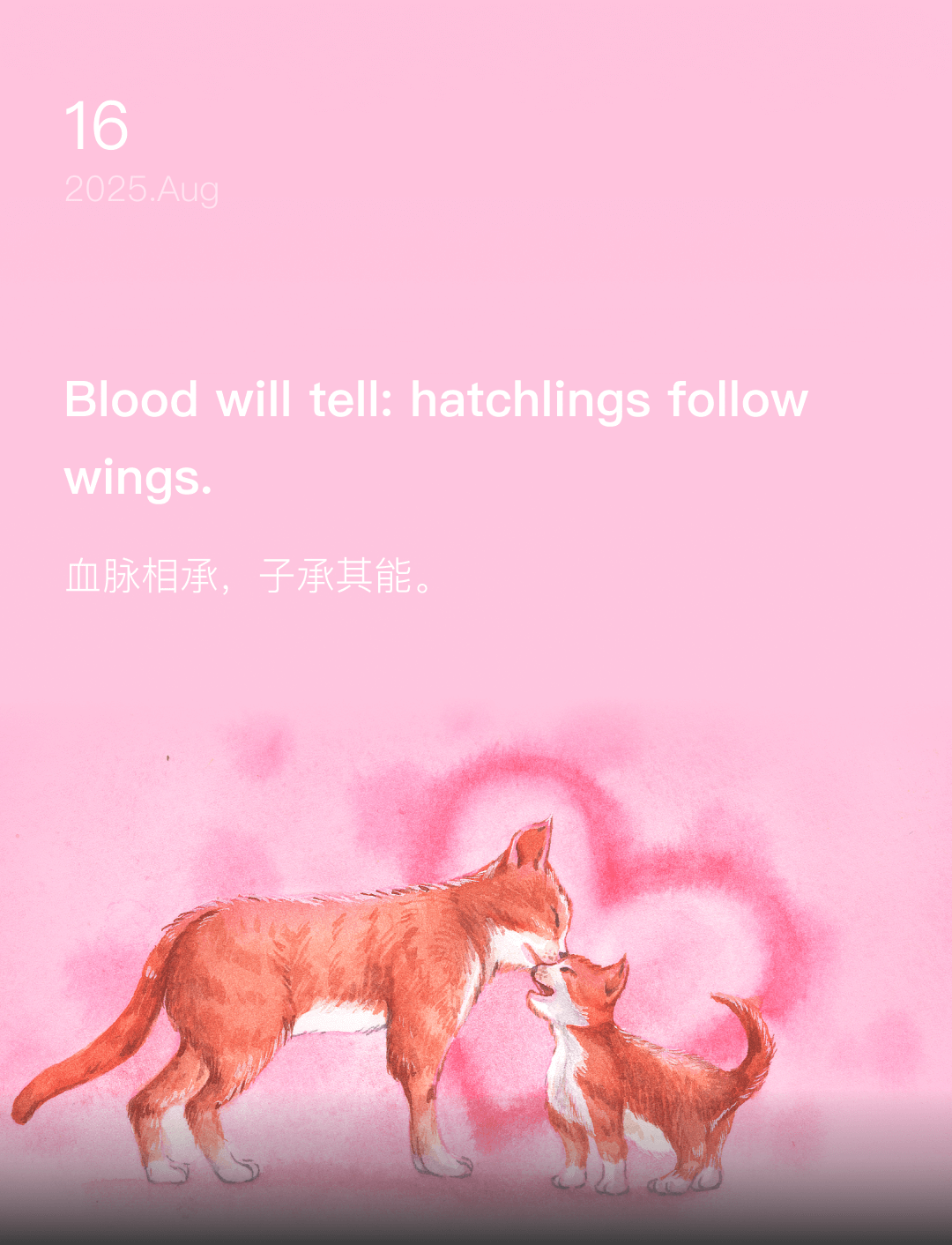词霸每日一句