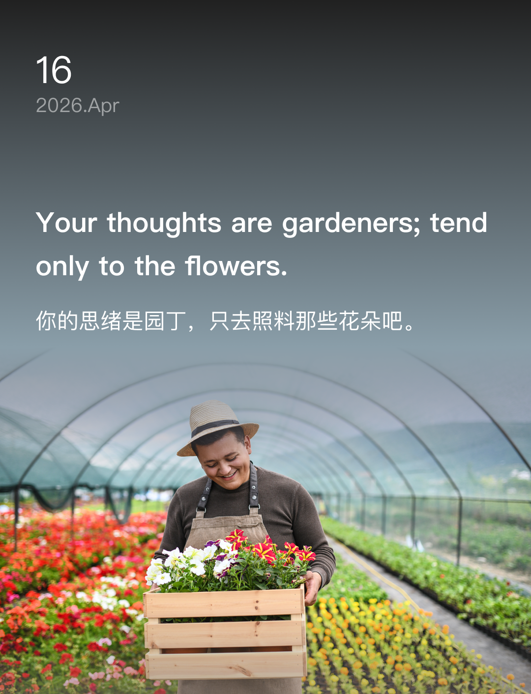词霸每日一句