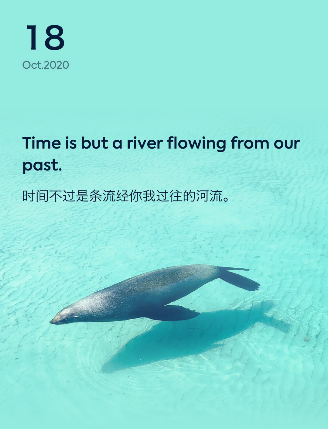 词霸每日一句