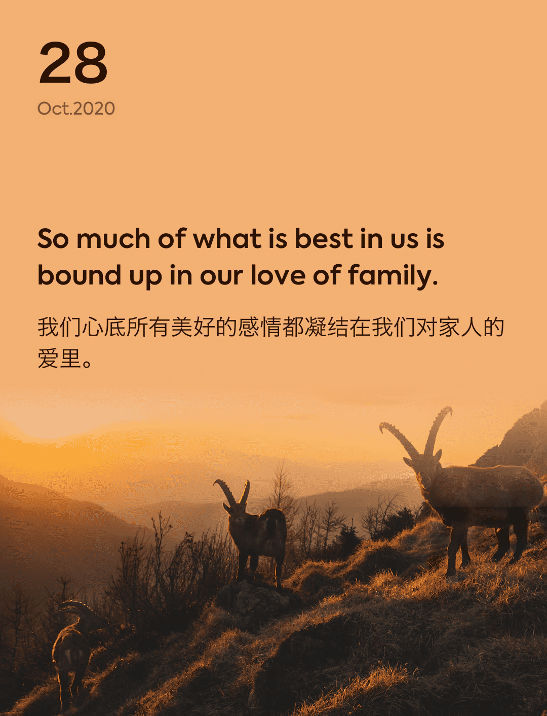 词霸每日一句